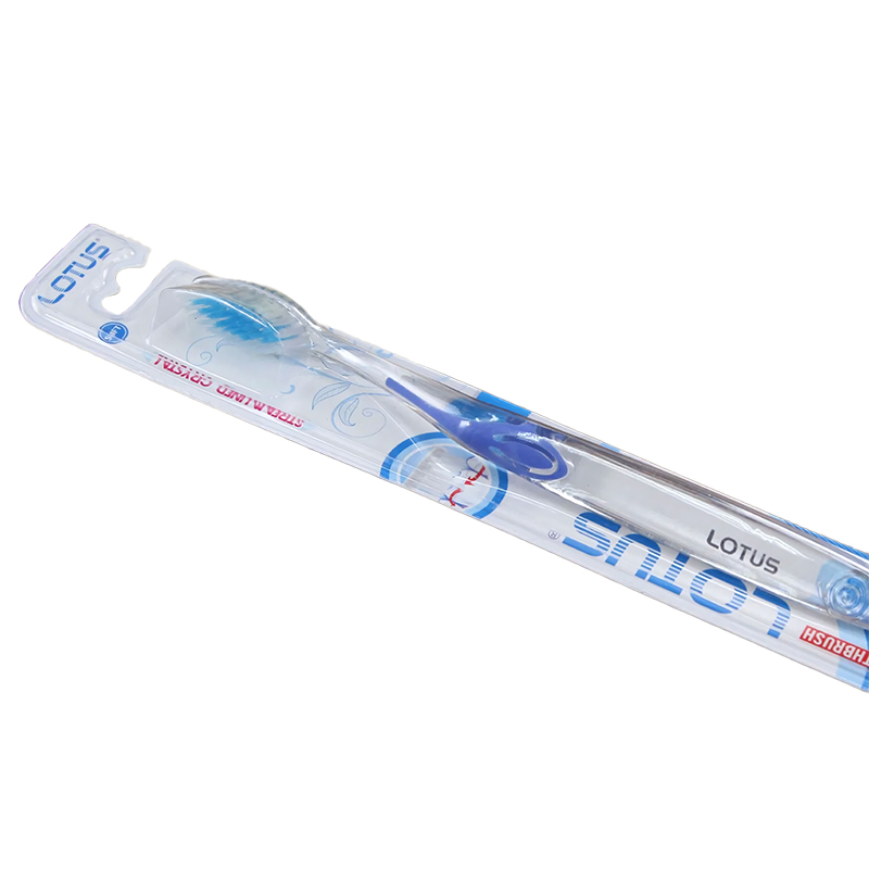 Home Use PP Long Handle Plastic Adult Toothbrush