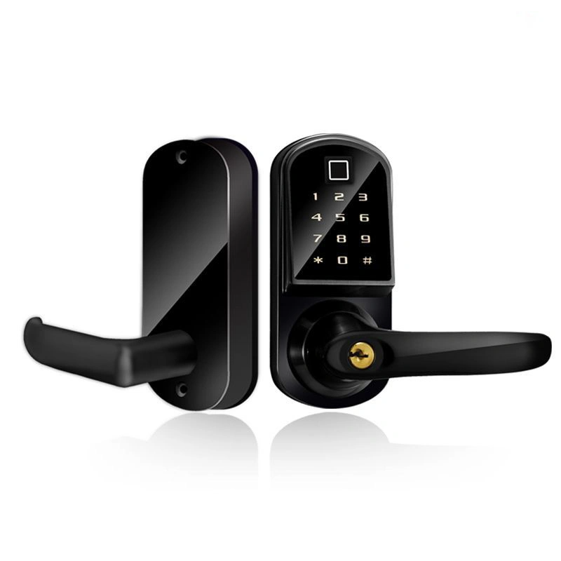 Contemporary Square Door Lock Black Remote Control Smart Lock Double Sided Fingerprint Smart Lock