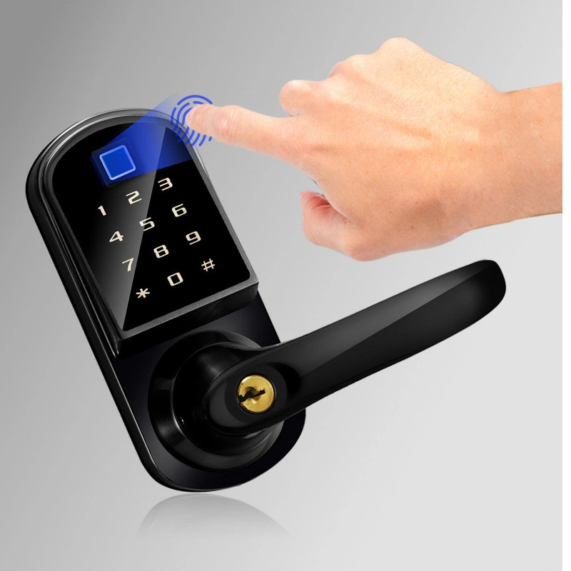 Contemporary Square Door Lock Black Remote Control Smart Lock Double Sided Fingerprint Smart Lock
