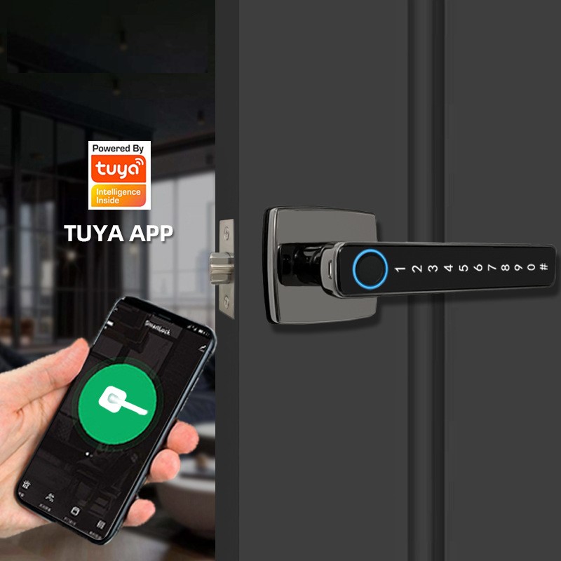 Fingerprint Keyless Entry Electronic Automatic Deadbolt Locks With App For Doors