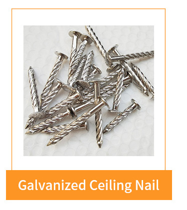 CeIling Nail