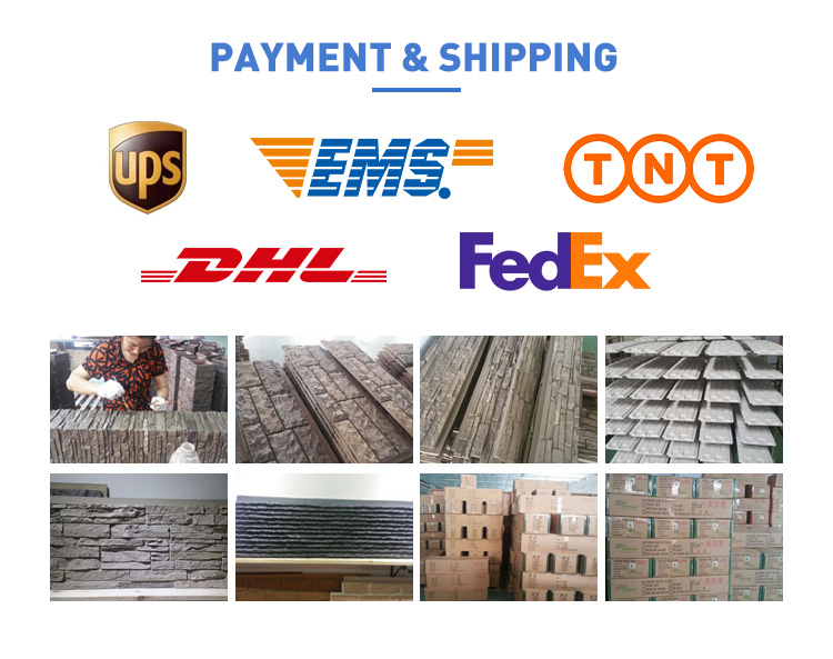 Payment & Shipping