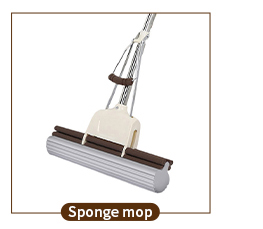 Sponge mop