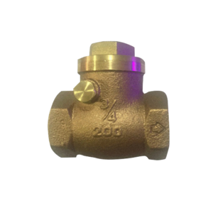 Brass Vertical Check Valve