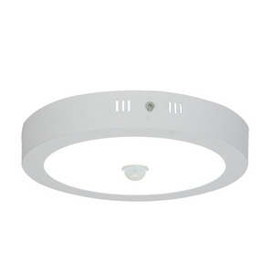 Led Light Ceiling Light