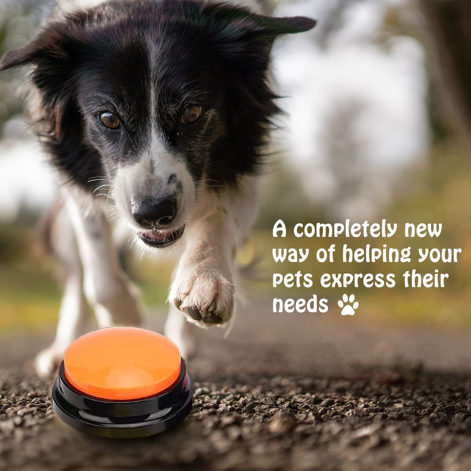 Funny Play Toy Interactive Mini Voice 30 Second Recordeable Button For Pet Training