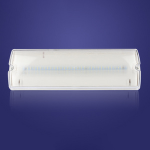 Emergency Led Light